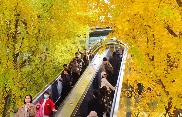 „goldener tunnel“ in hangzhou