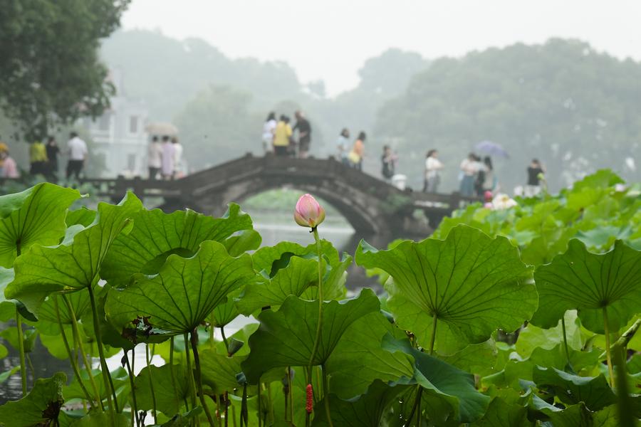hangzhou to welcome global experts on ecology